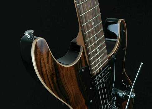 Electric guitar Michael Kelly Mod Shop 60 S2 Duncan Striped Ebony - 4