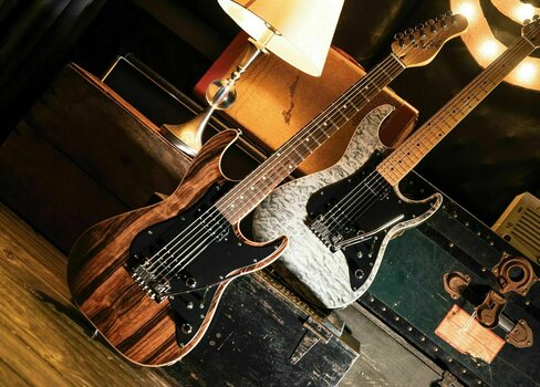 Elektrische gitaar Michael Kelly Mod Shop 60 S2 Duncan Striped Ebony - 14