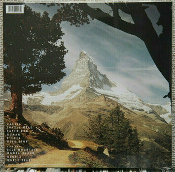 Płyta winylowa Goldfrapp - Felt Mountain (LP) - 2