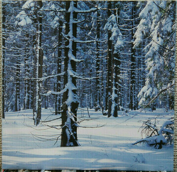 Vinyylilevy Goldfrapp - Felt Mountain (LP) - 6