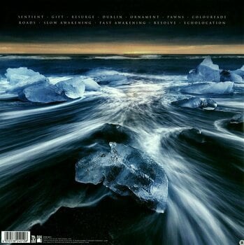 Disque vinyle Gone Is Gone - Echolocation (White Colored Vinyl) (2 LP) - 2