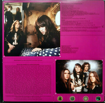 Schallplatte Halestorm - Halestorm (10th Anniversary Edition) (2 LP) - 4