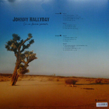 Disque vinyle Johnny Hallyday - Ca Ne Finira Jamais (2 LP) - 2