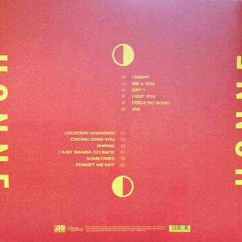 Vinyl Record Honne - Love Me/Love Me Not (2 LP) - 2