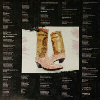 Vinyl Record Kid Rock - First Kiss (LP + CD) - 6