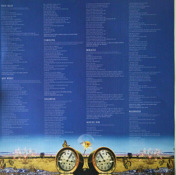 Disque vinyle Kimbra - The Golden Echo (2 LP) - 7