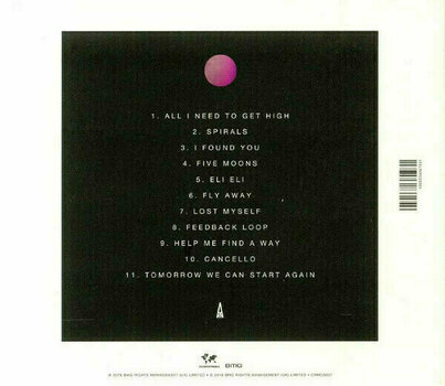 LP plošča Damian Lazarus - Heart Of Sky (Damian Lazarus & The Ancient Moons) (Limited Edition) (2 LP) - 2