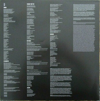 Hanglemez Dua Lipa - Dua Lipa (LP) - 4
