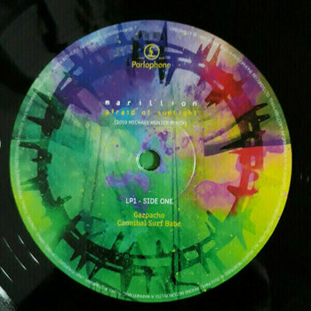 Vinyl Record Marillion - Afraid Of Sunlight (5 LP) - 6