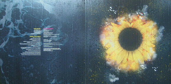 Disque vinyle Marillion - Afraid Of Sunlight (2 LP) - 3
