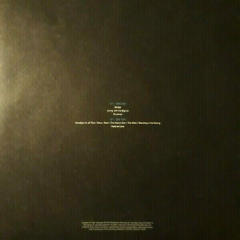 Disque vinyle Marillion - Brave (Deluxe Edition) (5 LP) - 4