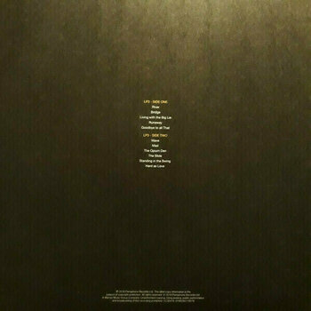 Vinylplade Marillion - Brave (Deluxe Edition) (5 LP) - 12