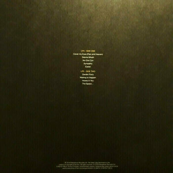 Vinylplade Marillion - Brave (Deluxe Edition) (5 LP) - 20