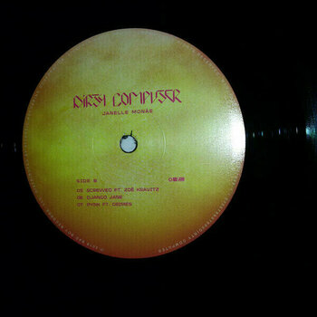 Vinyl Record Janelle Monae - Dirty Computer (2 LP) - 5