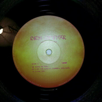 Vinyl Record Janelle Monae - Dirty Computer (2 LP) - 6