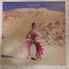 LP ploča Janelle Monae - Dirty Computer (2 LP) - 7
