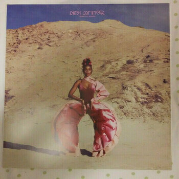 Vinyl Record Janelle Monae - Dirty Computer (2 LP) - 8
