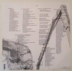 Vinyl Record Morrissey - I Am Not A Dog On A Chain (LP) - 2