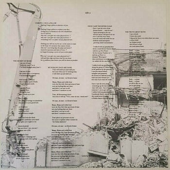 LP plošča Morrissey - I Am Not A Dog On A Chain (LP) - 4