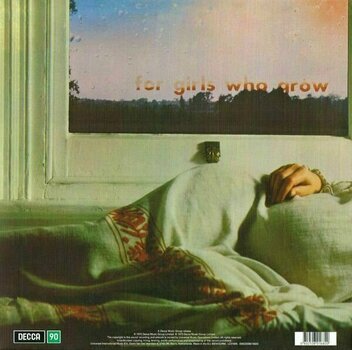 Vinyl Record Caravan - For Girls Who Grow Plump In The Night (Reissue) (LP) - 3