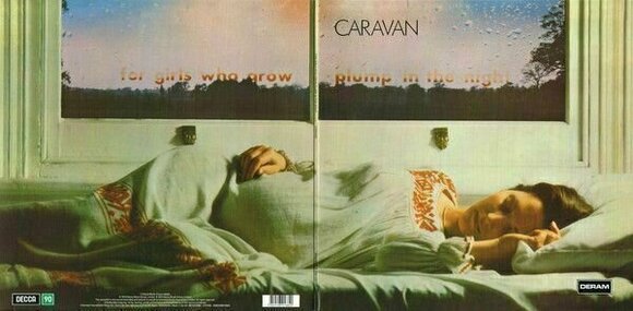 Disque vinyle Caravan - For Girls Who Grow Plump In The Night (Reissue) (LP) - 8