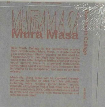 Vinyl Record Mura Masa - R.Y.C (Red Coloured) (LP) - 2
