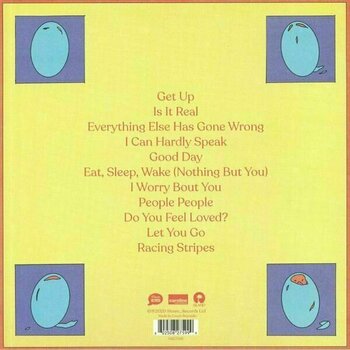 Płyta winylowa Bombay Bicycle Club - Everything Else Has Gone Wrong (LP) - 2