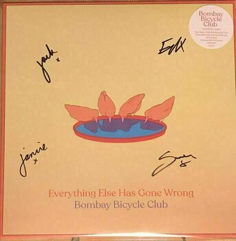 Schallplatte Bombay Bicycle Club - Everything Else Has Gone Wrong (LP) - 3