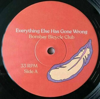 Schallplatte Bombay Bicycle Club - Everything Else Has Gone Wrong (LP) - 4