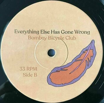 LP Bombay Bicycle Club - Everything Else Has Gone Wrong (LP) - 5