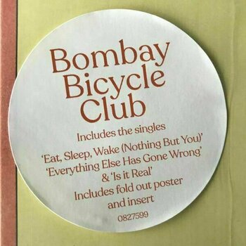 LP Bombay Bicycle Club - Everything Else Has Gone Wrong (LP) - 6