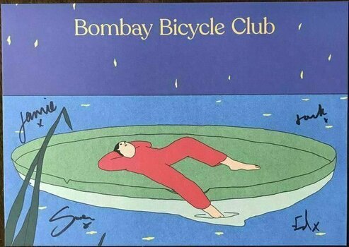Disque vinyle Bombay Bicycle Club - Everything Else Has Gone Wrong (LP) - 10
