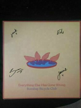 Vinyl Record Bombay Bicycle Club - Everything Else Has Gone Wrong (LP) - 11