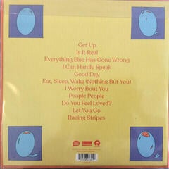 LP ploča Bombay Bicycle Club - Everything Else Has Gone Wrong (Deluxe Edition) (2 LP) - 1