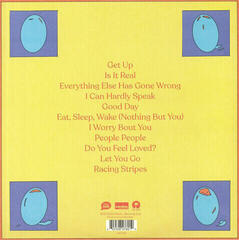 LP ploča Bombay Bicycle Club - Everything Else Has Gone Wrong (Deluxe Edition) (2 LP) - 3