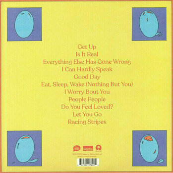 LP Bombay Bicycle Club - Everything Else Has Gone Wrong (Deluxe Edition) (2 LP) - 4