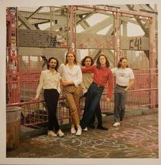 Δίσκος LP Blossoms - Foolish Loving Spaces (LP) - 2