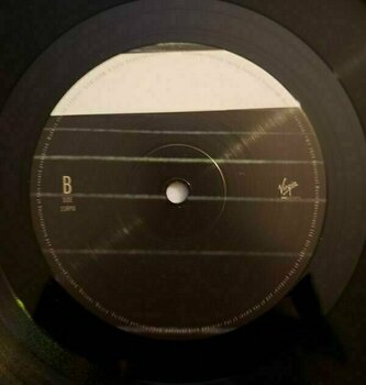 Vinyl Record Blossoms - Foolish Loving Spaces (LP) - 6