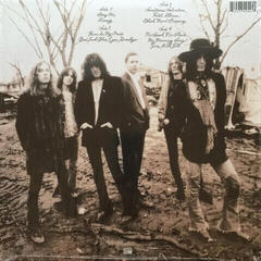 Hanglemez The Black Crowes - The Southern Harmony And (Remasterred) (2 LP) - 2