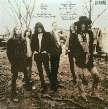 Disque vinyle The Black Crowes - The Southern Harmony And (Remasterred) (2 LP) - 4