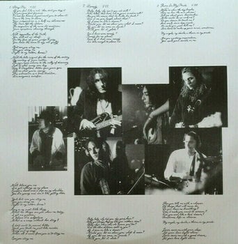 Δίσκος LP The Black Crowes - The Southern Harmony And (Remasterred) (2 LP) - 2
