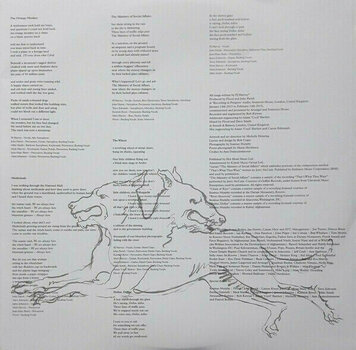 Disc de vinil PJ Harvey - The Hope Six Demolition Project (LP) - 7