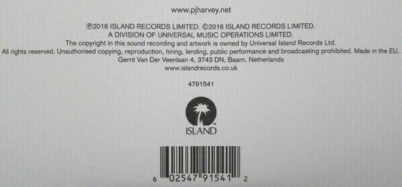 Disque vinyle PJ Harvey - The Hope Six Demolition Project (LP) - 8