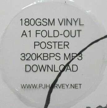 Vinyl Record PJ Harvey - The Hope Six Demolition Project (LP) - 10
