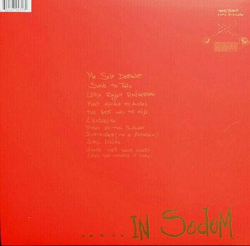 Disco de vinil Soft Cell - This Night In Sodom (LP) - 2