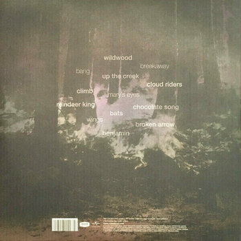 Schallplatte Tori Amos - Native Invader (LP) - 2