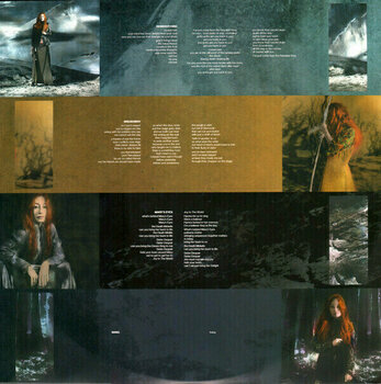 Disque vinyle Tori Amos - Native Invader (LP) - 4