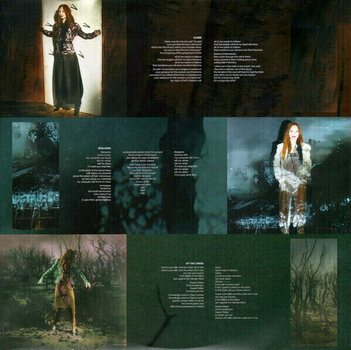 Vinyl Record Tori Amos - Native Invader (LP) - 5