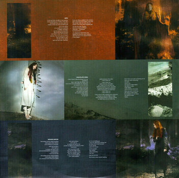 Vinyl Record Tori Amos - Native Invader (LP) - 6