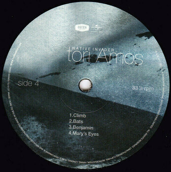Vinyylilevy Tori Amos - Native Invader (LP) - 11